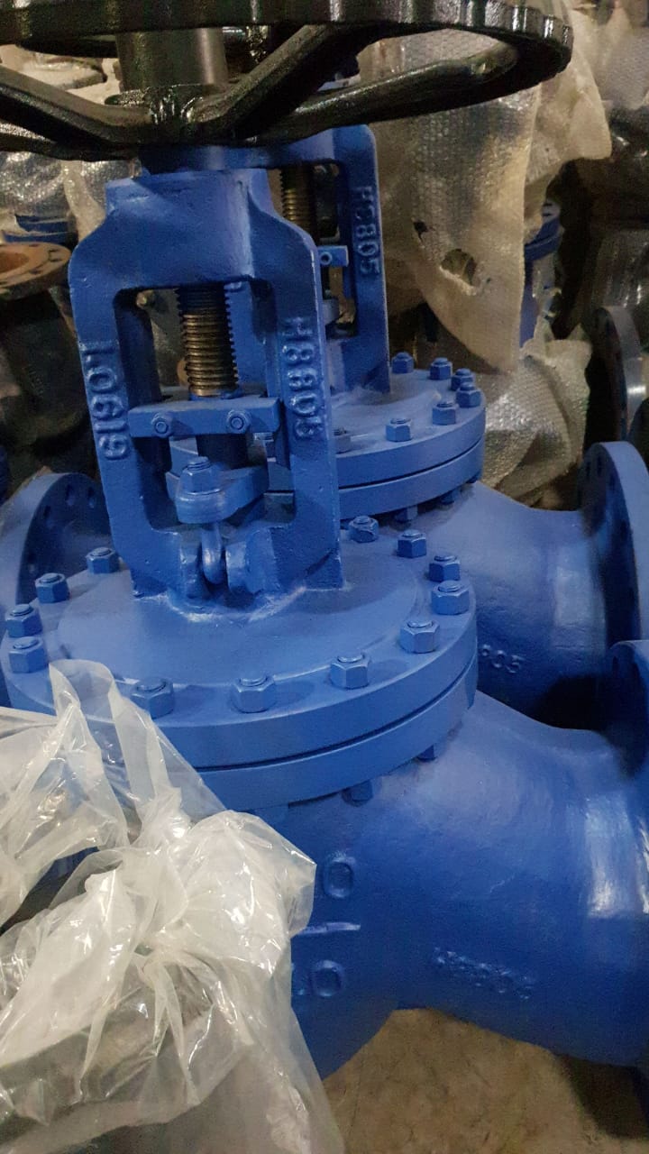 Globe Valve 10 Inch PN 40 WCB